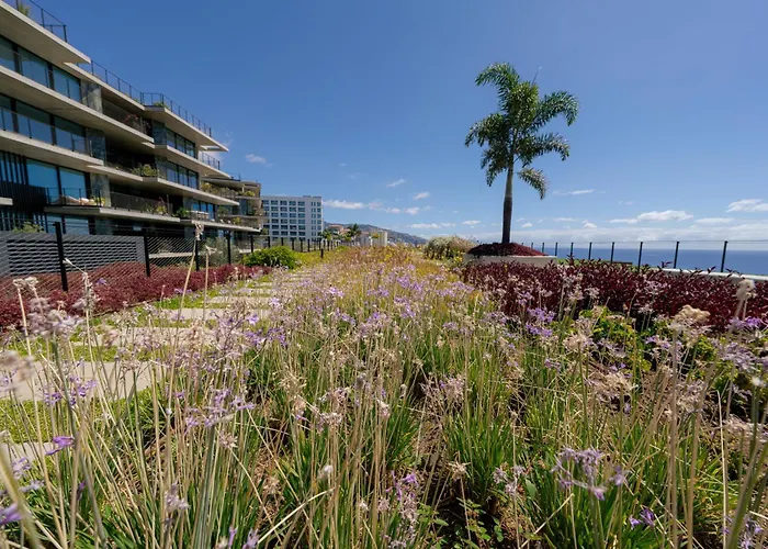 公寓 Savoy Monumentalis Ocean View By Lm & Ac Signature *